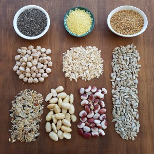 grãos e oleaginosas